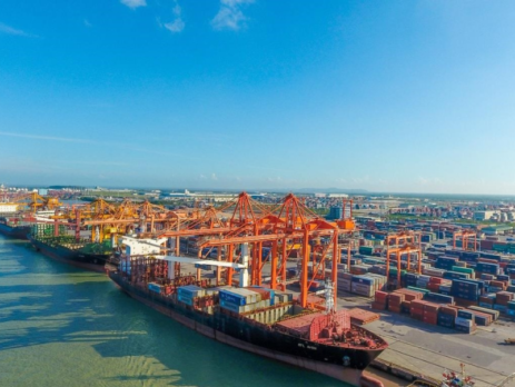 Vận tải đường biển sang cảng Felixstowe, UK ở Châu Âu