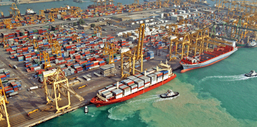 Vận Chuyển Thủy Sản Sang Thái Lan: Quy Trình, Chuỗi Lạnh Và Thủ Tục Xuất Khẩu