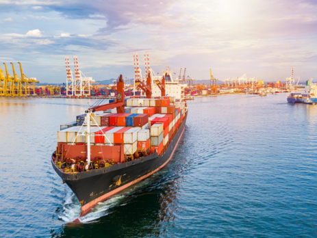 Quy trình vận chuyển container bằng đường biển sang cảng Zeebrugge - Châu Âu