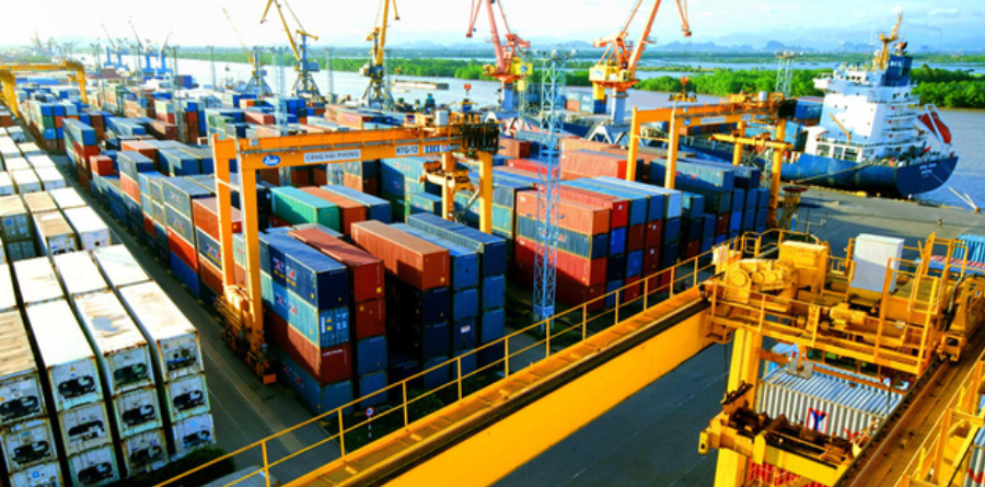 quy trình xuất khẩu hàng hoá đông lạnh