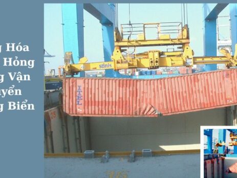 Trách nhiệm của đơn vị vận chuyển khi hàng hóa bị hư hỏng trong vận chuyển đường biển