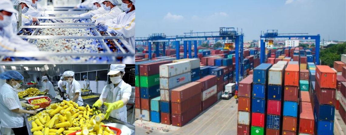 Hướng Dẫn Xuất Khẩu Hàng Hóa Thực Phẩm Qua Đường Biển