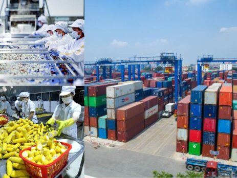 Hướng Dẫn Xuất Khẩu Hàng Hóa Thực Phẩm Qua Đường Biển