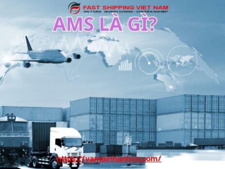 Phí AMS là gì?