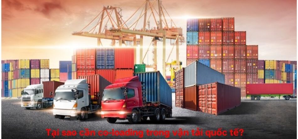Co-loading là gì? Co-loader là gì trong vận tải quốc tế?