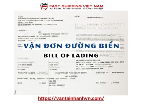 Vận đơn gốc là gì (Original B/L) ?