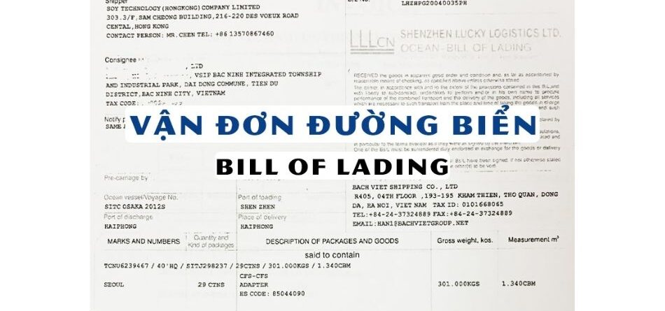 Vận đơn gốc là gì (Original B/L) ?